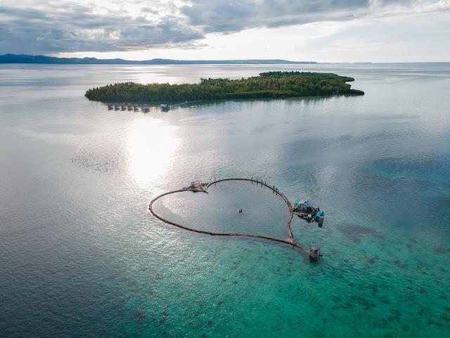 Keramba Cinta ala Taha Bachmid: Dimana Cinta Dibudidaya