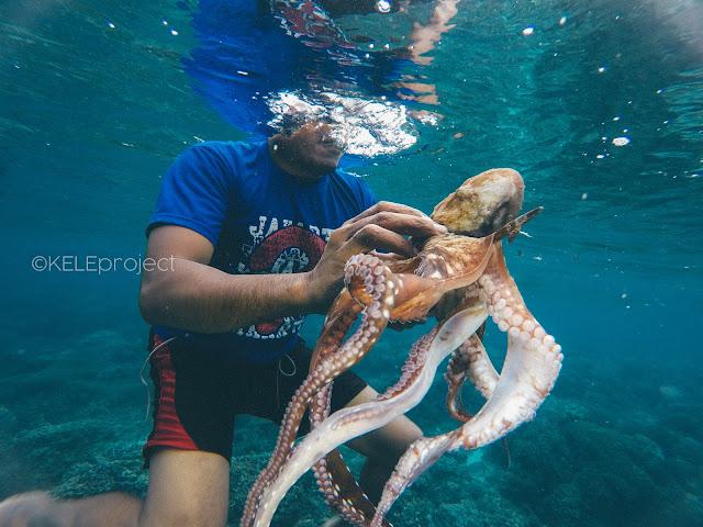 Laut Adat Negeri Akoon | Cerita Perikanan Gurita